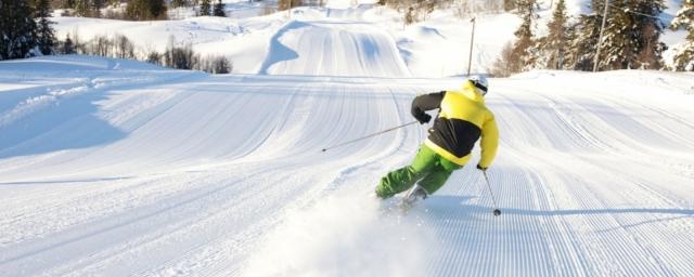 Спасатели ищут пропавшего в горах под Мурманском лыжника