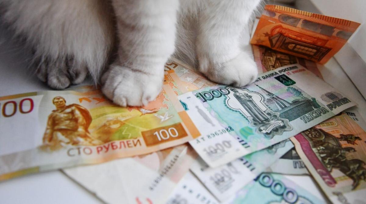 Эксперт дал комментарий по поводу заявления Набиуллиной о том, что в экономике России нет рецессии