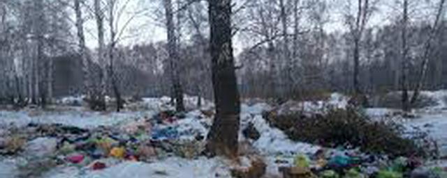В Ленобласти нелегальные свалки в лесах уберут за 60 дней