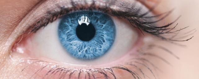 Искусственный интеллект научился определять ранние стадии болезни Паркинсона по снимкам глаз
