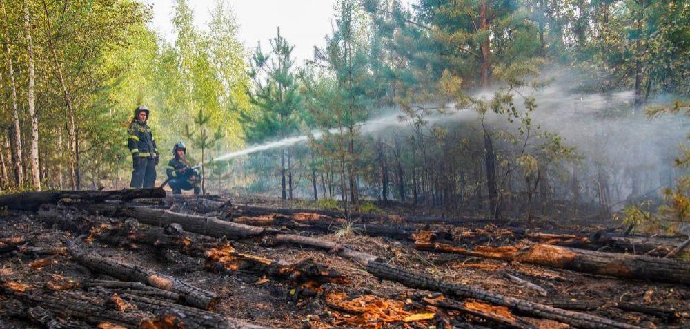 В Ростовской области удалось ликвидировать лесной пожар