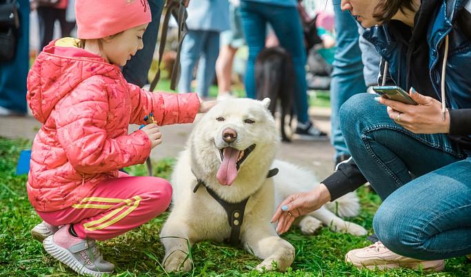 В Твери пройдёт выставка бездомных животных