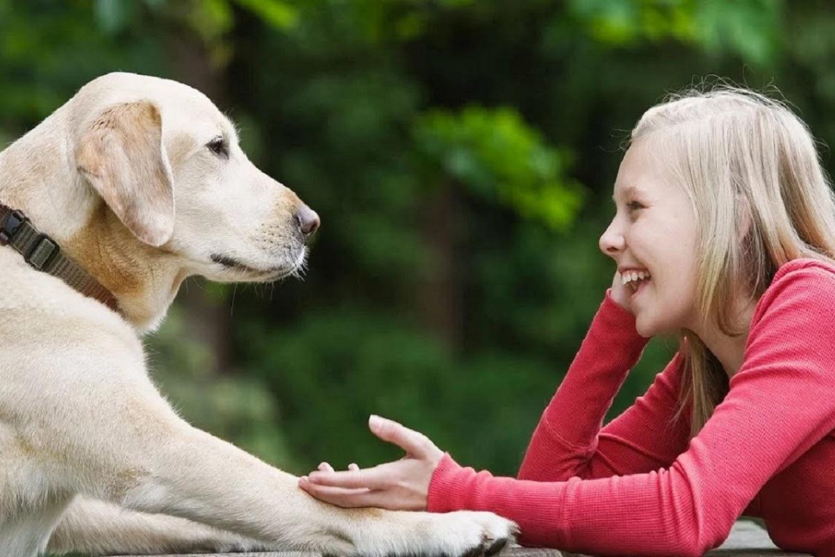 Ученые выяснили, как общение с собакой сказывается на уровне гормона стресса в крови