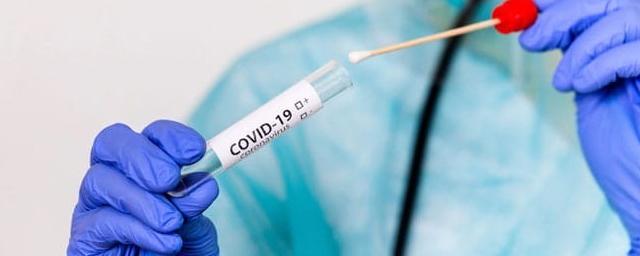 Новосибирских школьников начали тестировать на коронавирус
