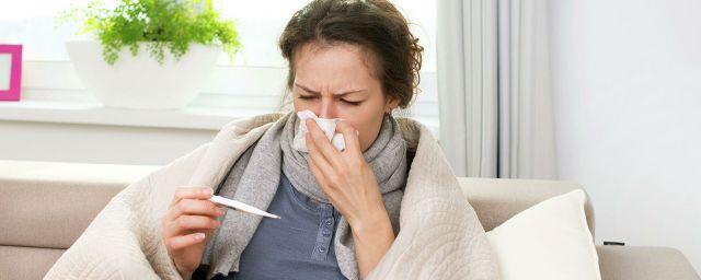 Роспотребнадзор: В Тульской области подтвержден первый случай гриппа типа А