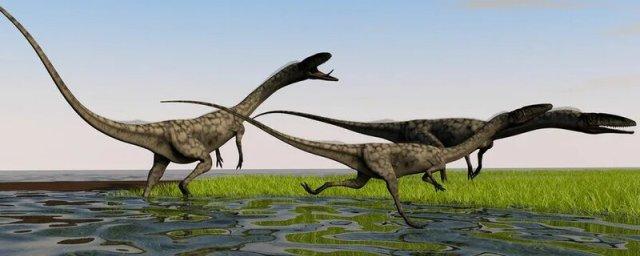 Science Advances: хвост динозавра экономил 18% энергии во время передвижения