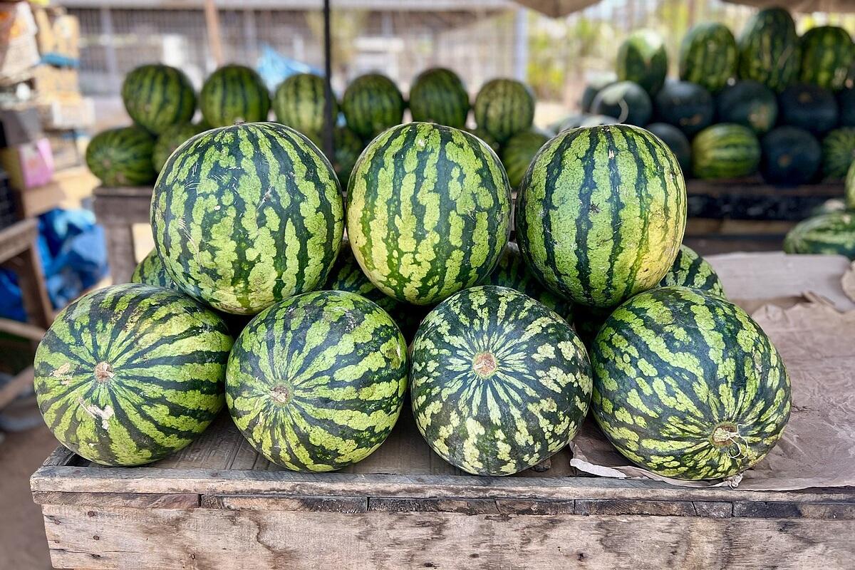 Арбузный бум: Новосибирскую область завалили бахчевыми из Средней Азии