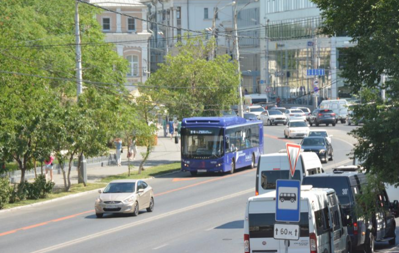 В Астрахани началась опиловка деревьев, мешающих проезду общественного транспорта