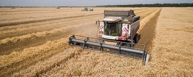 В Ставропольском крае снизится урожай из-за засухи