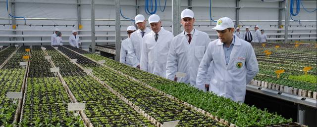 В Новосибирской области в 2023 году господдержку аграриев увеличат в полтора раза