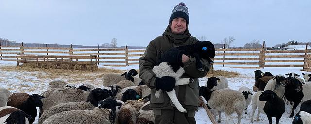 В Омской области фермер уехал в глушь региона развивать овцеводство