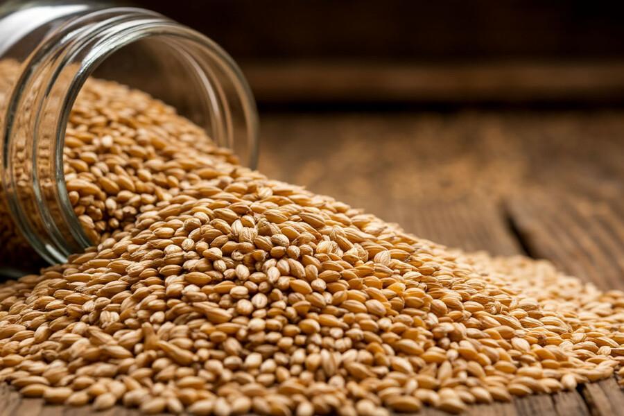 В Томск ввезли 5,8 тыс. тонн солода из Белоруссии