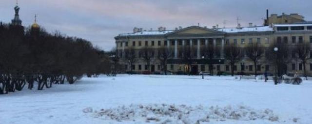В Петербурге задержали художника Волкова из-за снежного арт-объекта в виде фекалий
