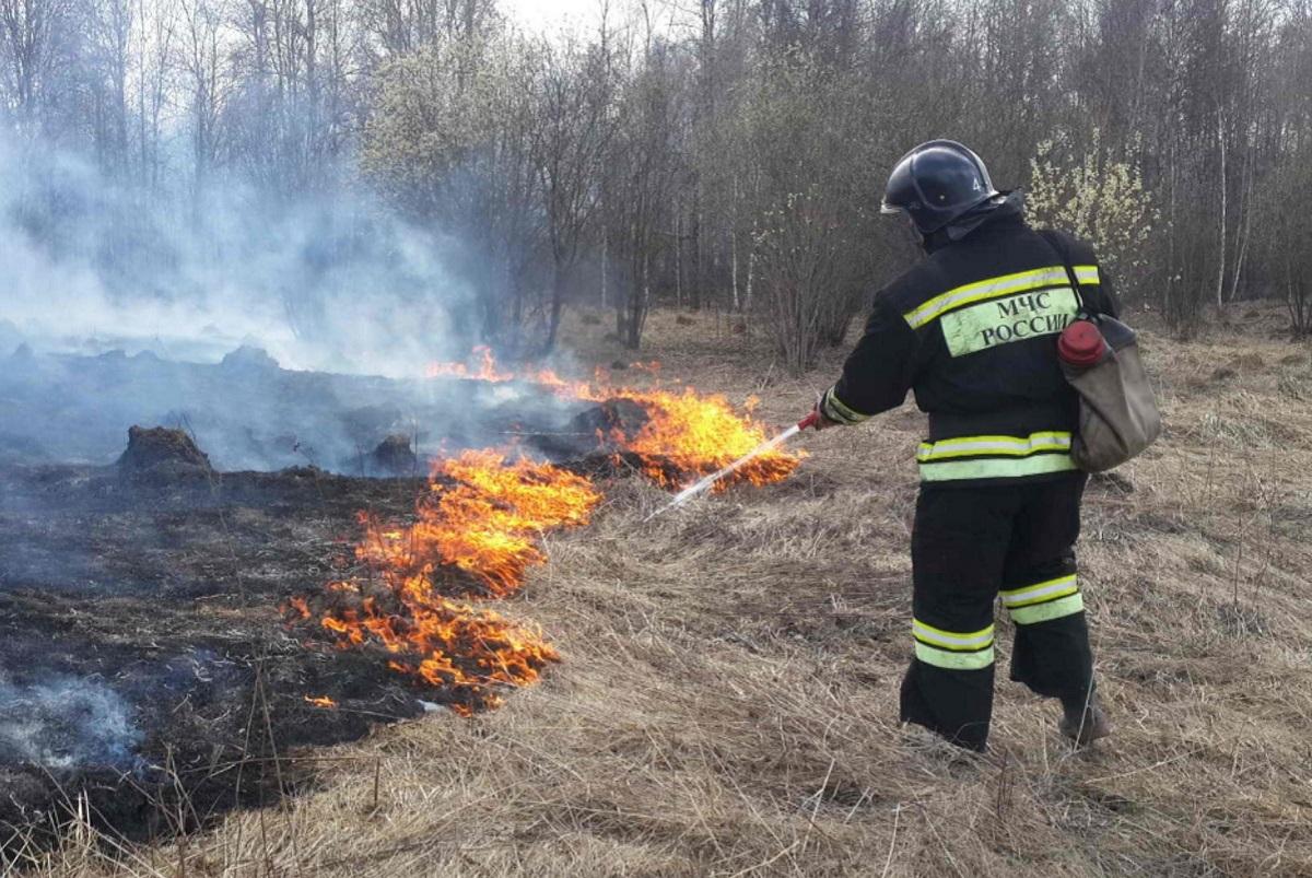 В Октябрьском и Свердловском округах 17 апреля под контролем МЧС пройдут отжиги сухой травы