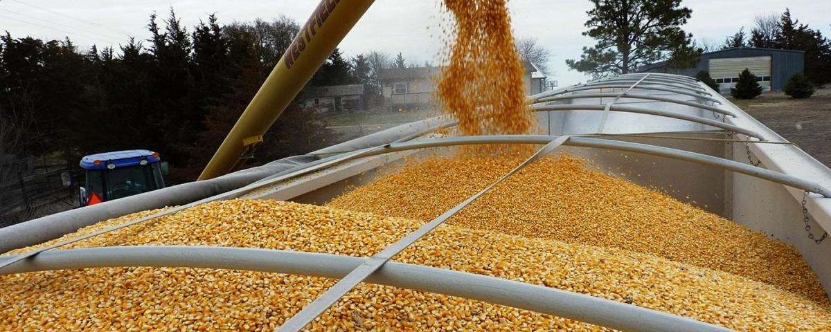 Глава Минсельхоза Польши Телюс раскритиковал позицию Украины по импорту зерна