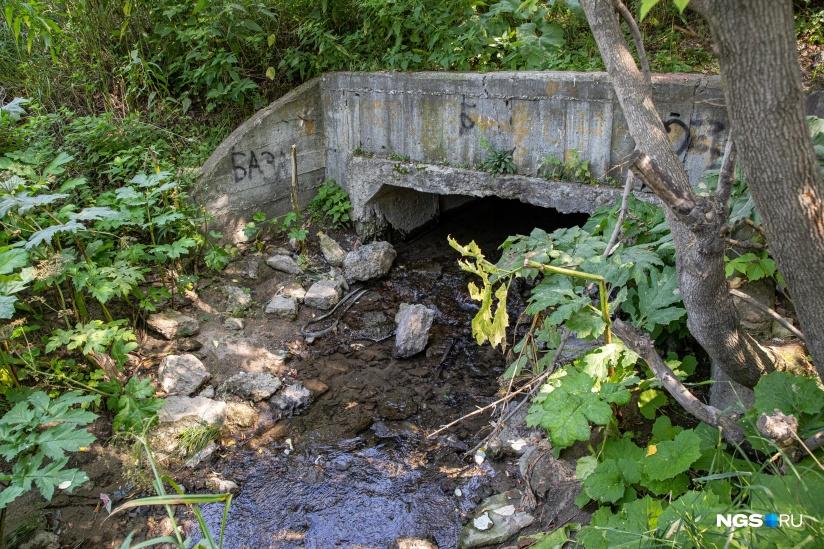 На берегу забытой реки Чербузы в Новосибирске обустроят парк