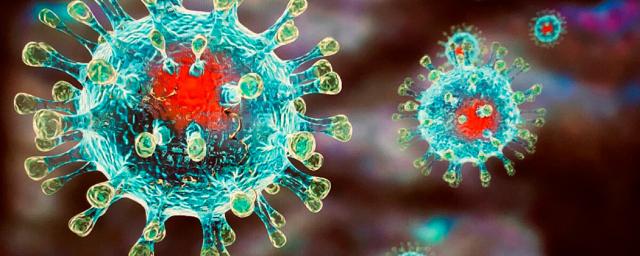 «Британский» штамм коронавируса к марту может стать основным в России