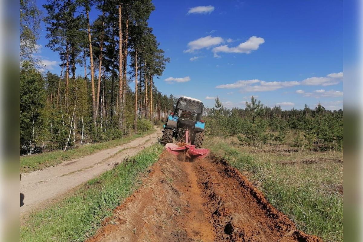 В Орехово-Зуевском округе создают минерализованные полосы для защиты леса от пожаров