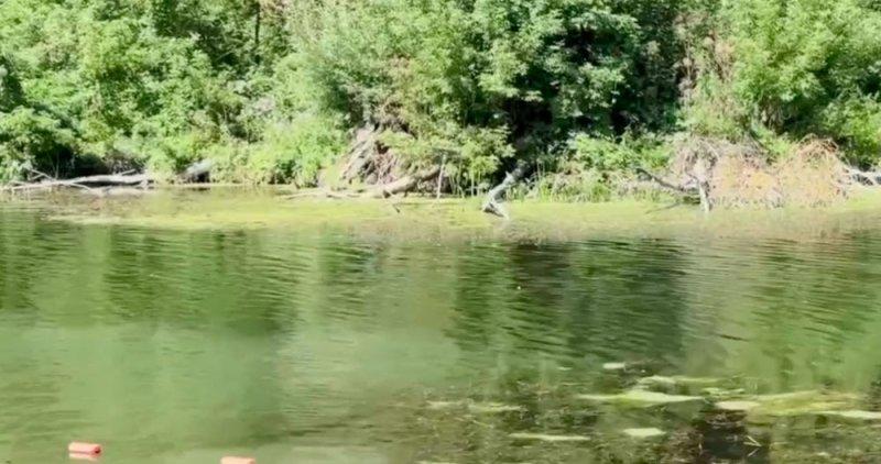 В Курске планируют расчистить берег реки Сейм