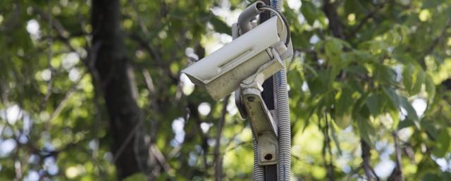В парках и скверах Рязани установят видеокамеры