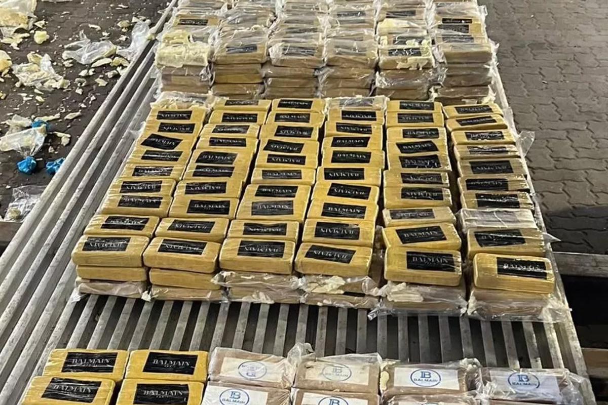 Крупнейшая партия года: в России перехватили 820 кг наркотиков из Латинской Америки