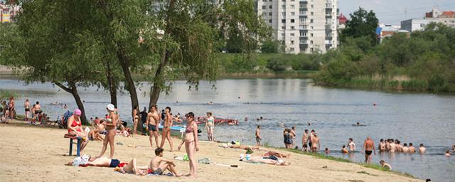 Бабьи пески в кургане пляж фото