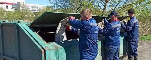 В Петербурге активисты очистили от мусора берег реки Красненькой