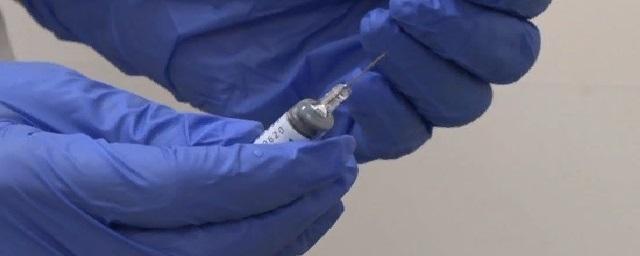 В Волгоградской области от гриппа привились почти 26% населения
