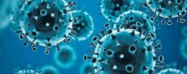 36 человек за последние сутки заболели коронавирусной инфекцией в Тверской области