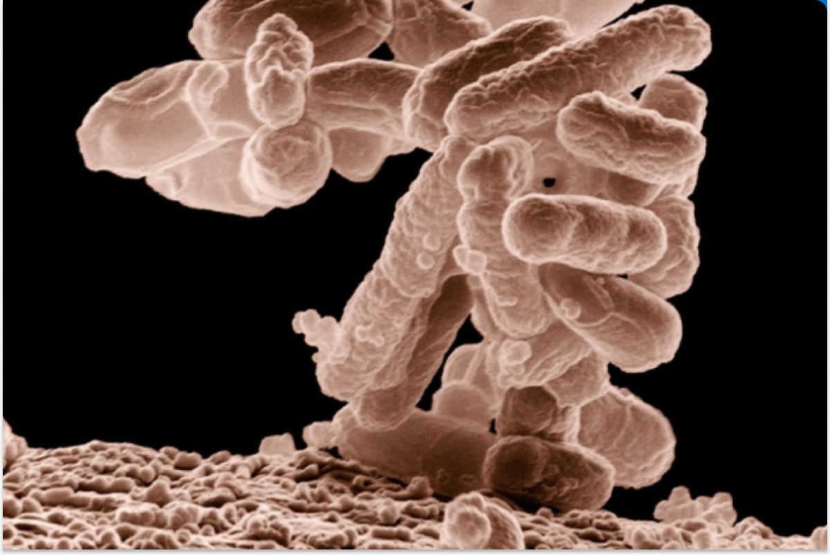 В США создали метод, позволяющий моментально определять вирусы в крови