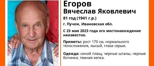 Волонтёры просят записи с видеорегистраторов для поисков 81-летнего дедушки из Пучежа