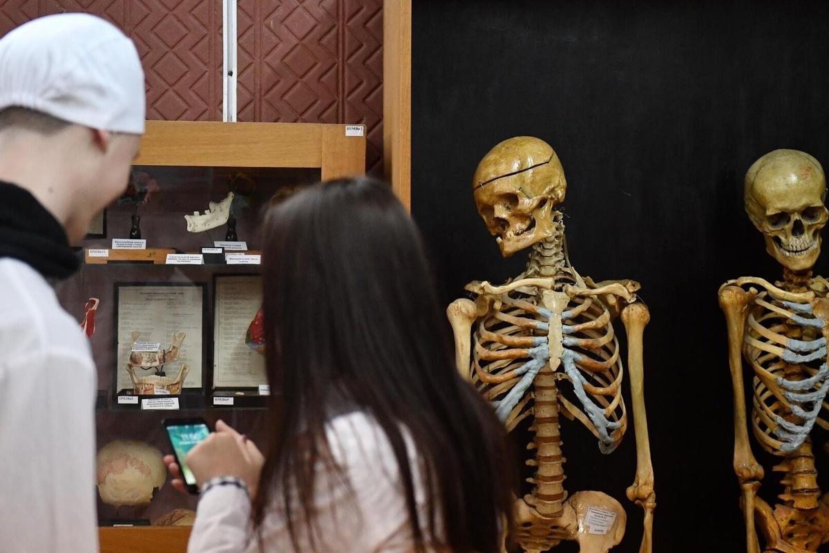 Депутат Куринный назвал сверхжестким законопроект об отработках для выпускников медвузов