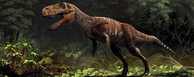 Следы хищных динозавров найдены в бомбоубежище в Китае