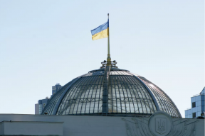 Депутат Рады заявила о насильственной мобилизации на Украине