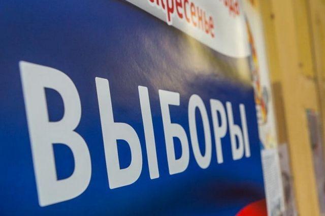 В ЕАО проходят выборы губернатора