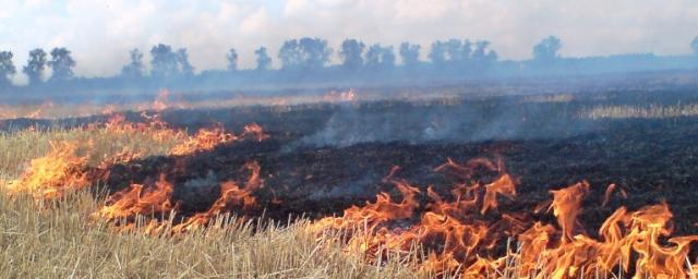 В Оренбургской области локализовали возгорание сухой травы