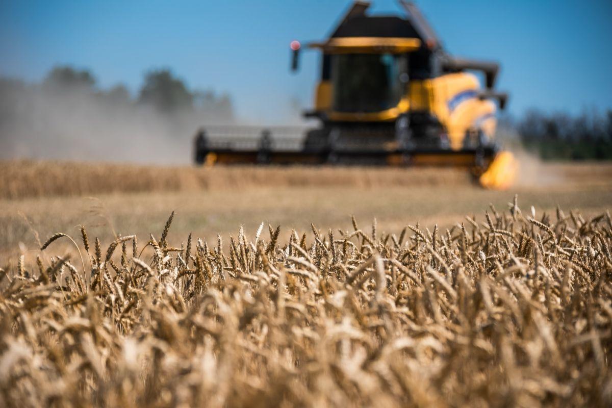 В Липецкой области стартовала уборочная кампания