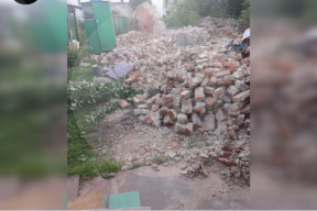 В Липецкой области на участок местной жительницы рухнула стена и убила собаку