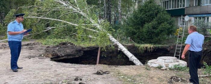 В Ульяновской области глава района получил перелом позвоночника после падения на него дерева