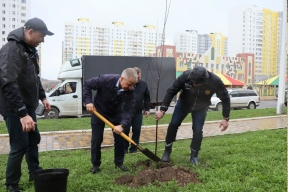 В Курске высадили 50 яблонь в честь приграничных сел, пострадавших от боевых действий