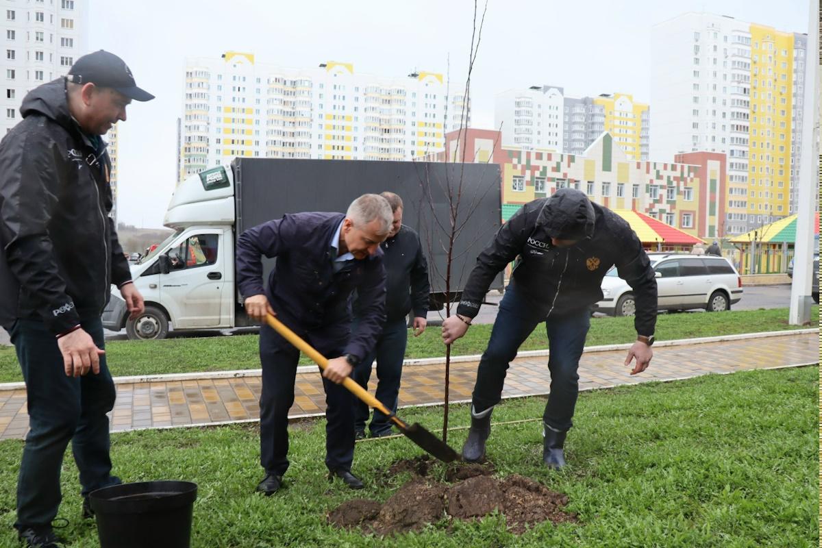 В Курске высадили 50 яблонь в честь приграничных сел, пострадавших от боевых действий