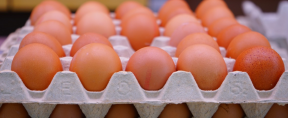 Губернатор Томской области взял на контроль ситуацию с ценами на куриные яйца