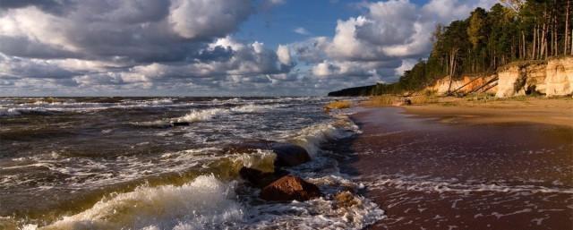 YLE: в Балтийском море у берегов Финляндии обнаружили окуня, способного кусать людей