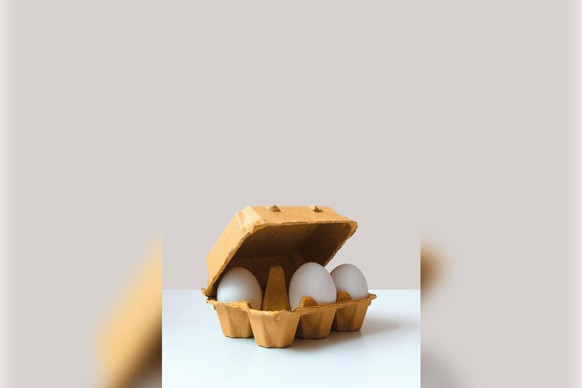 В России предлагают запретить использование упаковки из полистирола для еды