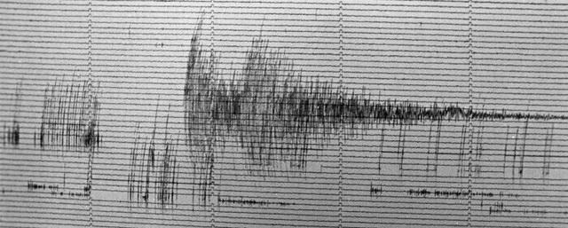 На Алтае произошло землетрясение магнитудой 3,9