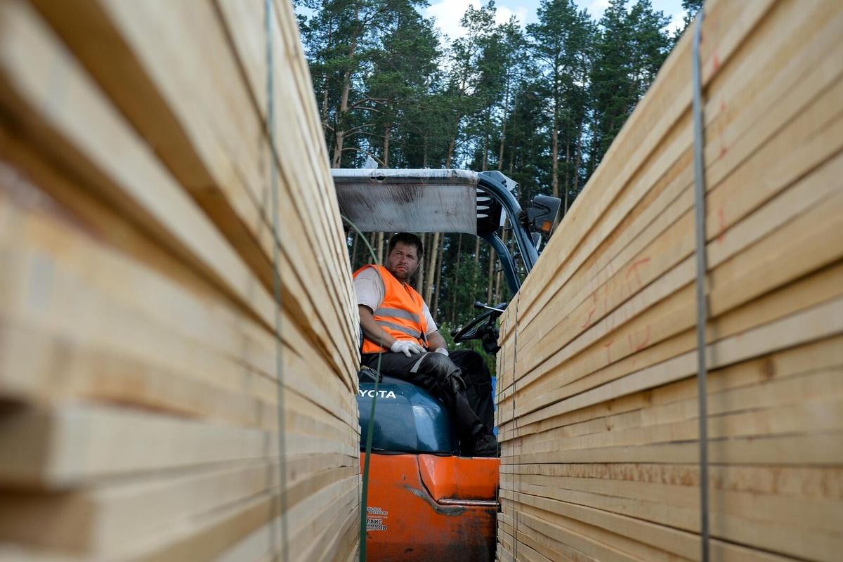 Экспорт древесины из Новгородской области в 2025 году достиг 151 тысячи кубометров
