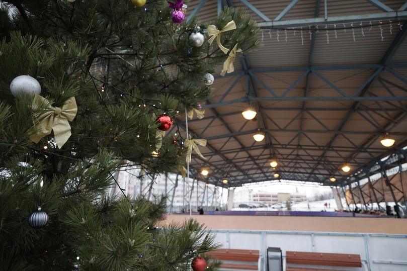 В Белгороде открылся «Есенинский каток»