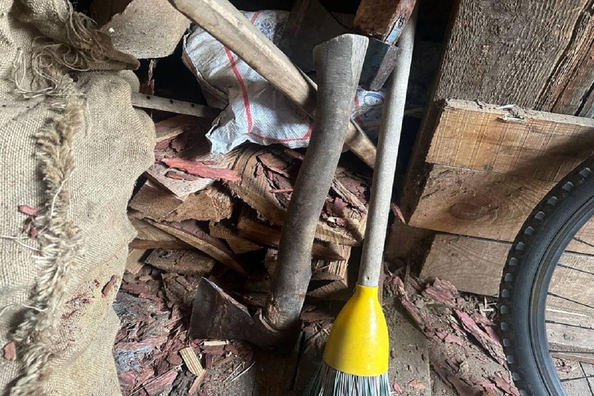 В Канске задержана женщина, зарубившая своих детей