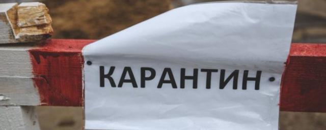 В новосибирском селе Суздалка ввели карантин до мая из-за бешенства