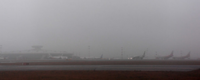 Из-за тумана в Москве задержано почти 90 авиарейсов